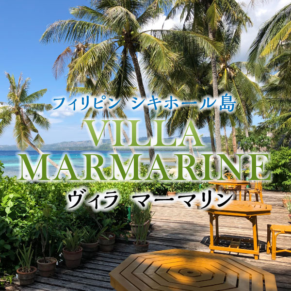 ジャパンナチュラル研究所、健康、安心、モリンガ、パウダー、蕎麦、そば、プロテイン、おいしい、置き換え、ダイエット、簡単、身体にいい、栄養満点